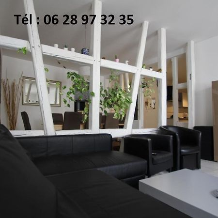 Gite Hyper Centre 10 Pers Colmar Eksteriør bilde